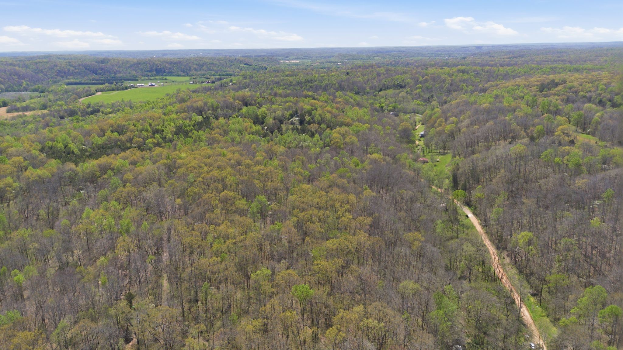 0 Possum Hollow Road Primm Springs, TN 38476 - Photo 5 of 29 a view of a yard with an outdoor space