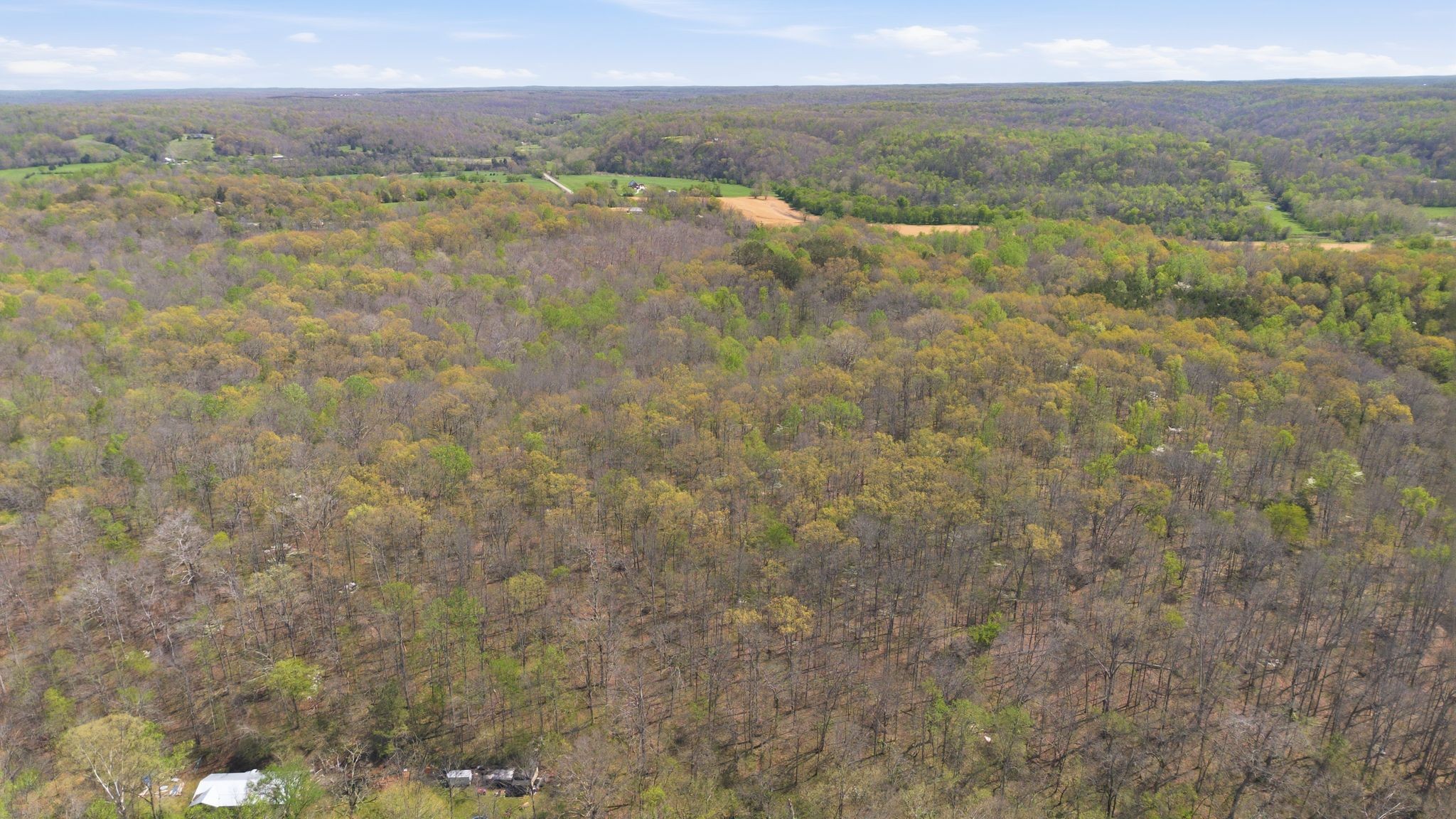 0 Possum Hollow Road Primm Springs, TN 38476 - Photo 7 of 29 a view of beach and ocean