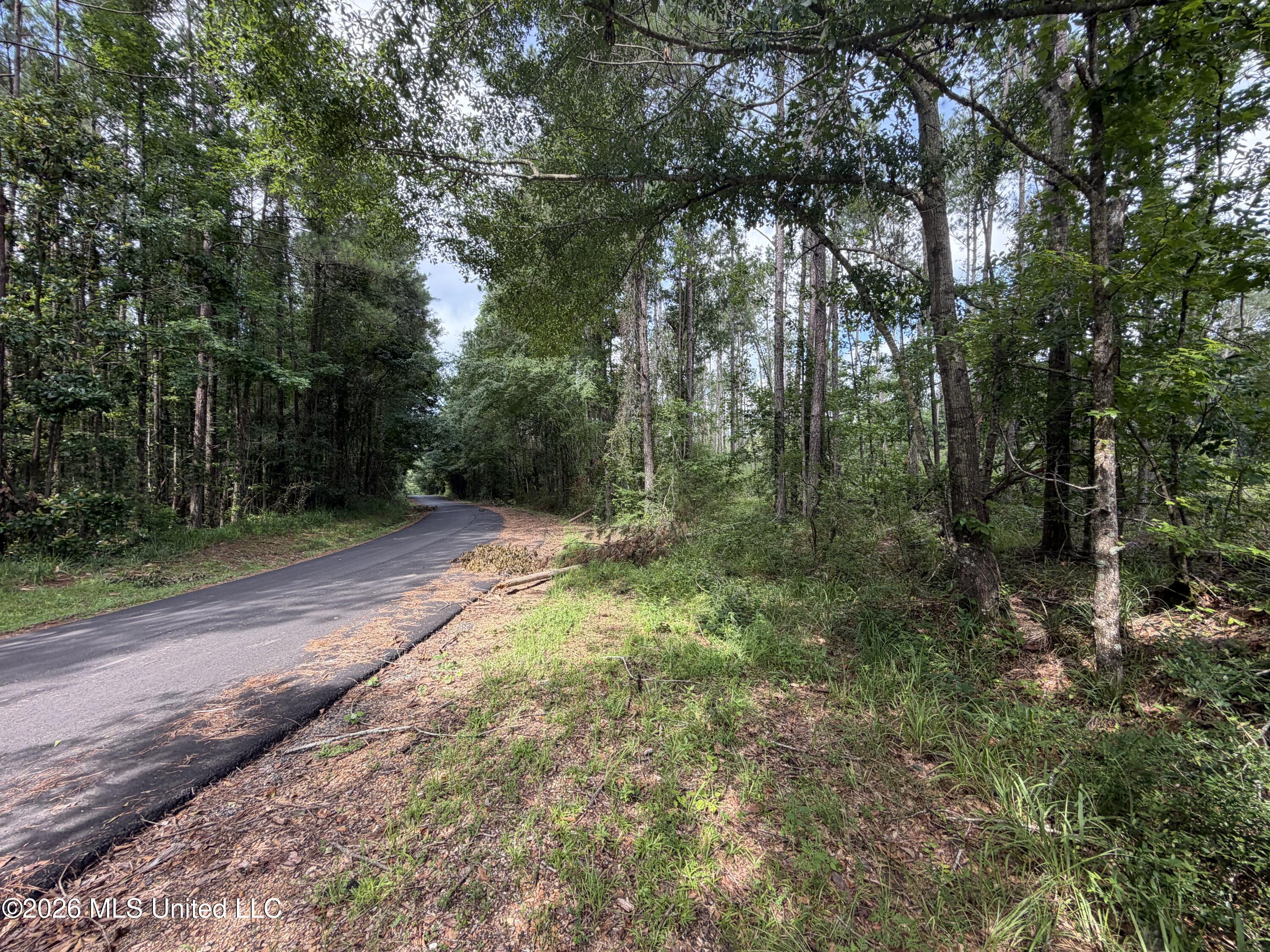 Northwest Union Road Southeast Brookhaven, MS 39601 - Photo 8 of 10 Photo Jun 26 2026, 9 56 23 AM