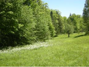 967 Halfway Brook Road Brookfield, VT 05036 - Photo 17 of 24