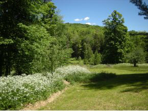 967 Halfway Brook Road Brookfield, VT 05036 - Photo 19 of 24