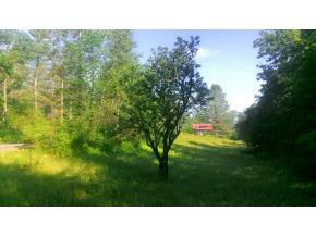967 Halfway Brook Road Brookfield, VT 05036 - Photo 20 of 24