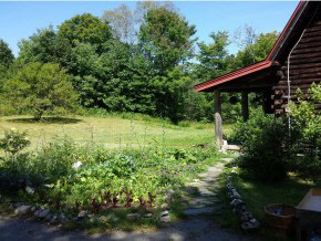 967 Halfway Brook Road Brookfield, VT 05036 - Photo 24 of 24