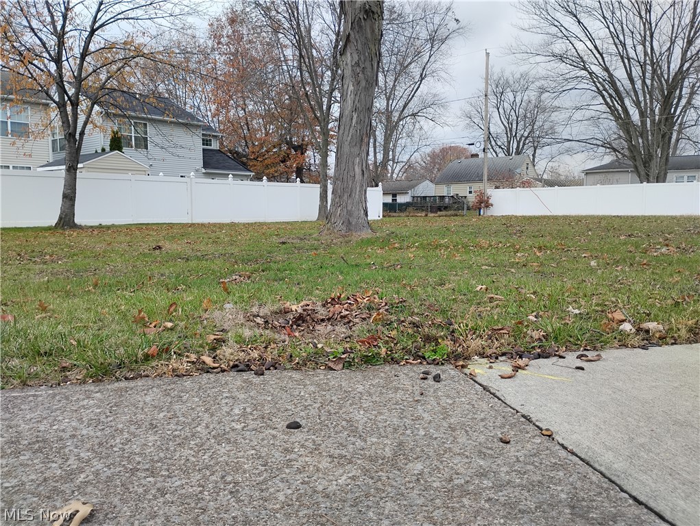 950 West River Road North Elyria, OH 44035 - Photo 5 of 13 From the South corner of the lot.