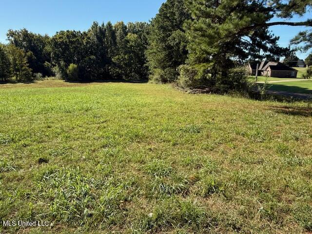 5508 Tulane Road Horn Lake, MS 38637 - Photo 13 of 35 IMG_1811