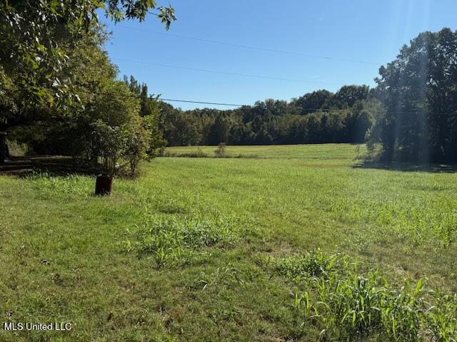 5508 Tulane Road Horn Lake, MS 38637 - Photo 14 of 35 IMG_1813