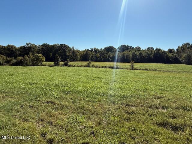 5508 Tulane Road Horn Lake, MS 38637 - Photo 24 of 35 IMG_1824