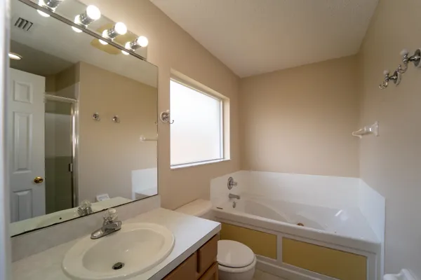 a bathroom with a bathtub a sink a toilet and a mirror