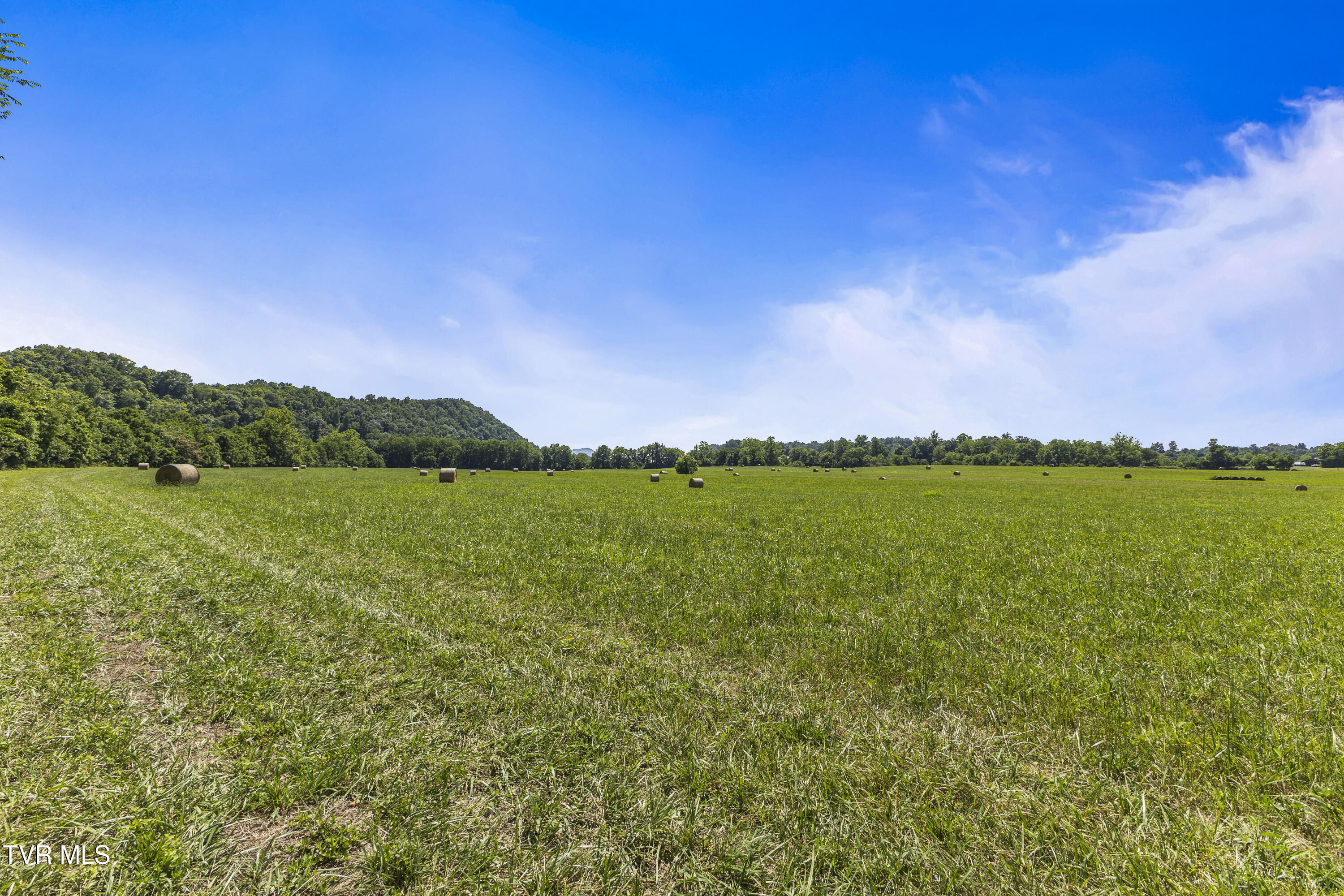 501 Williams Road Rogersville, TN 37857 - Photo 11 of 24 river 4