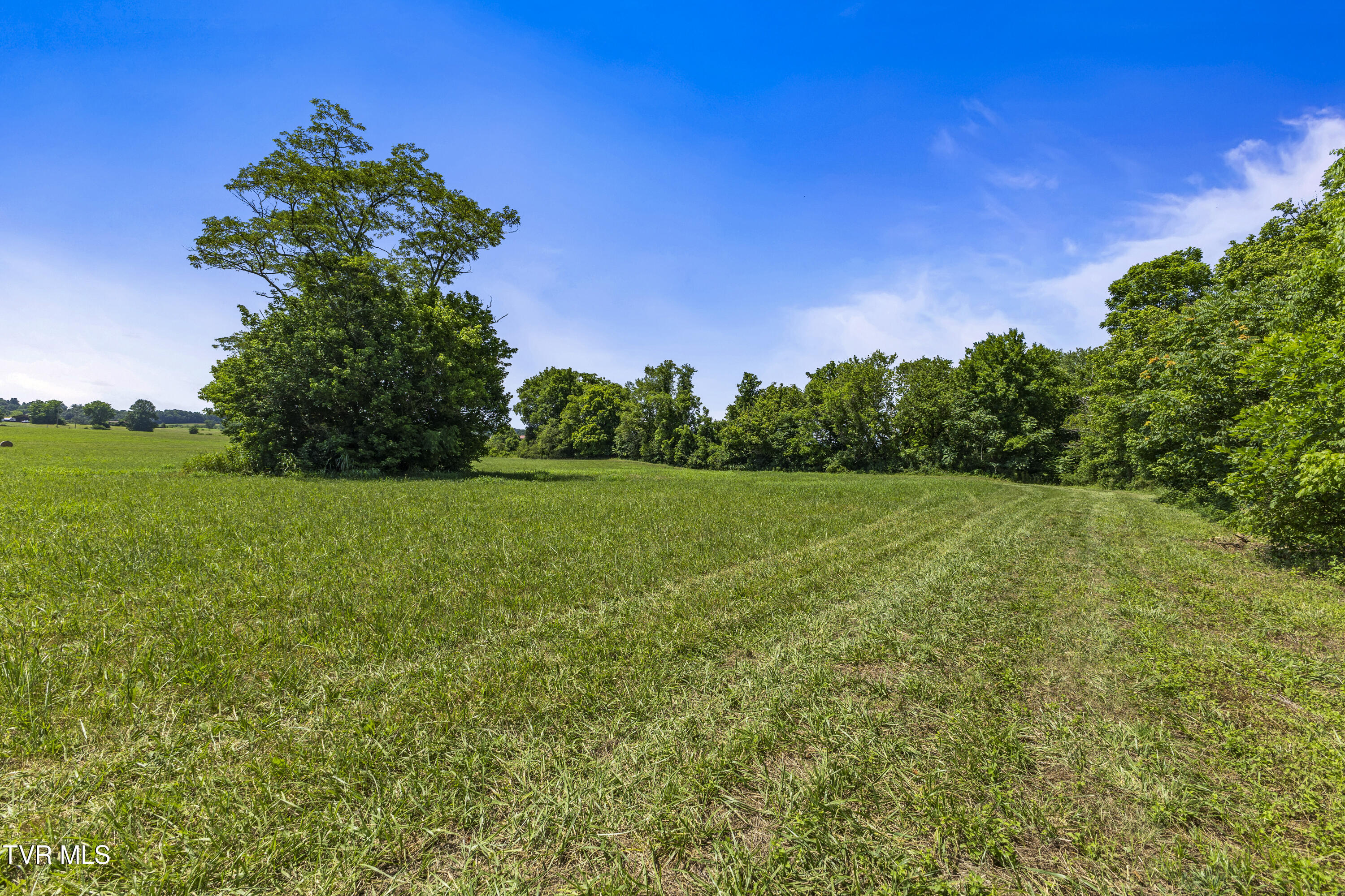 501 Williams Road Rogersville, TN 37857 - Photo 12 of 24 river 5