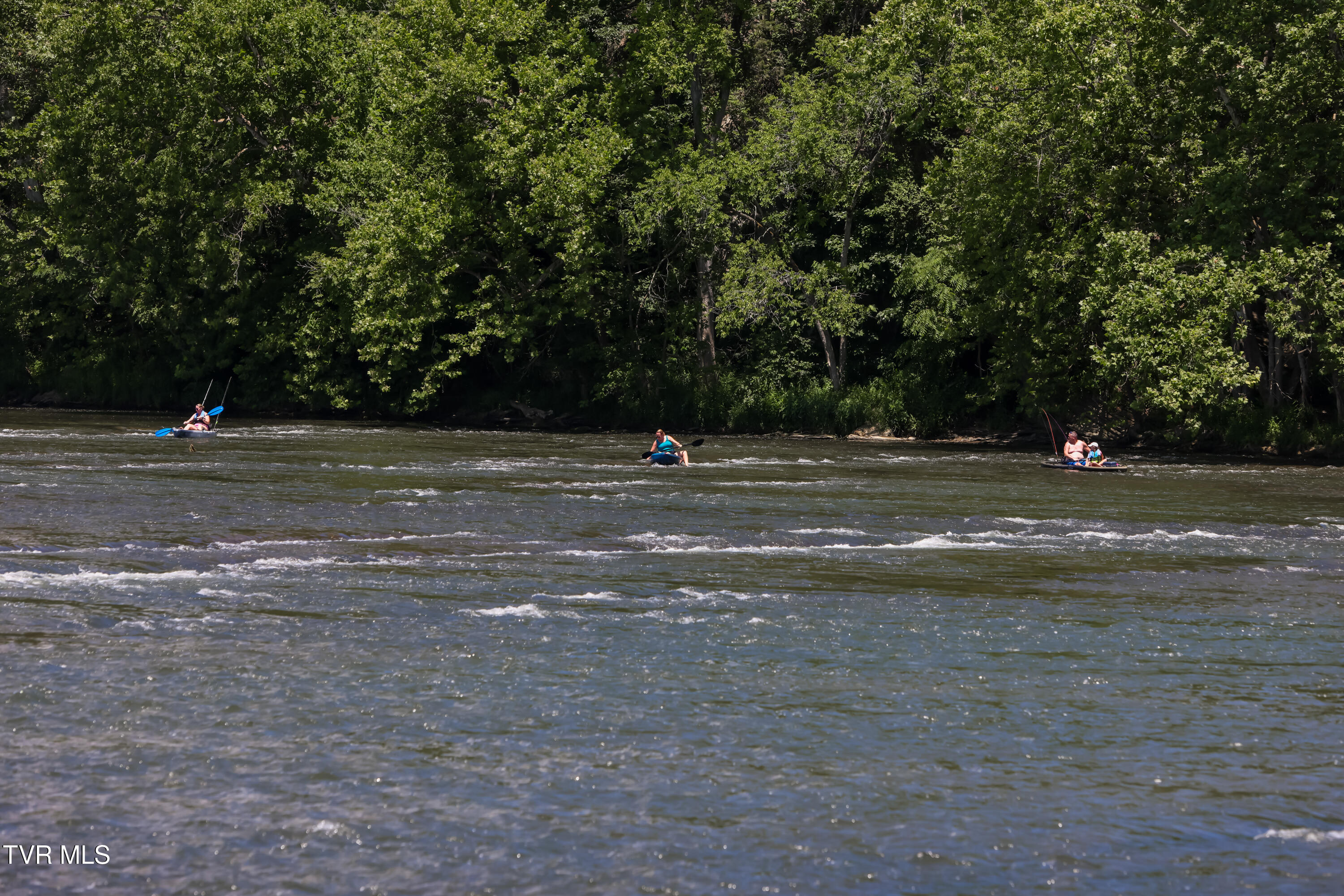 501 Williams Road Rogersville, TN 37857 - Photo 17 of 24 river 11