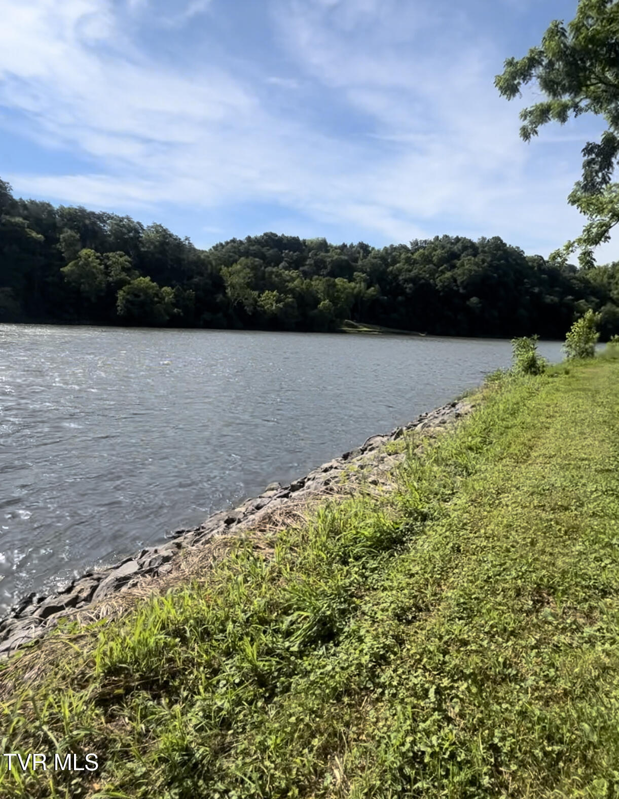 501 Williams Road Rogersville, TN 37857 - Photo 2 of 24 river 19