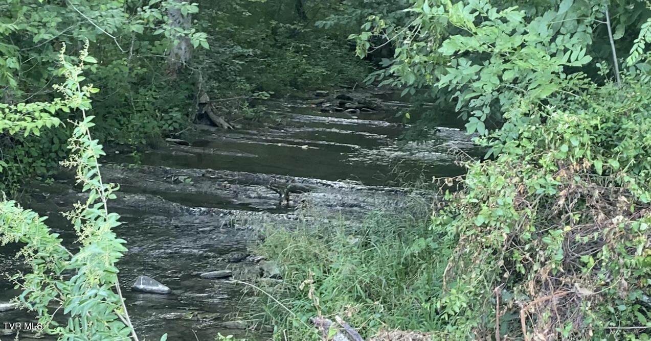 501 Williams Road Rogersville, TN 37857 - Photo 21 of 24 river 20