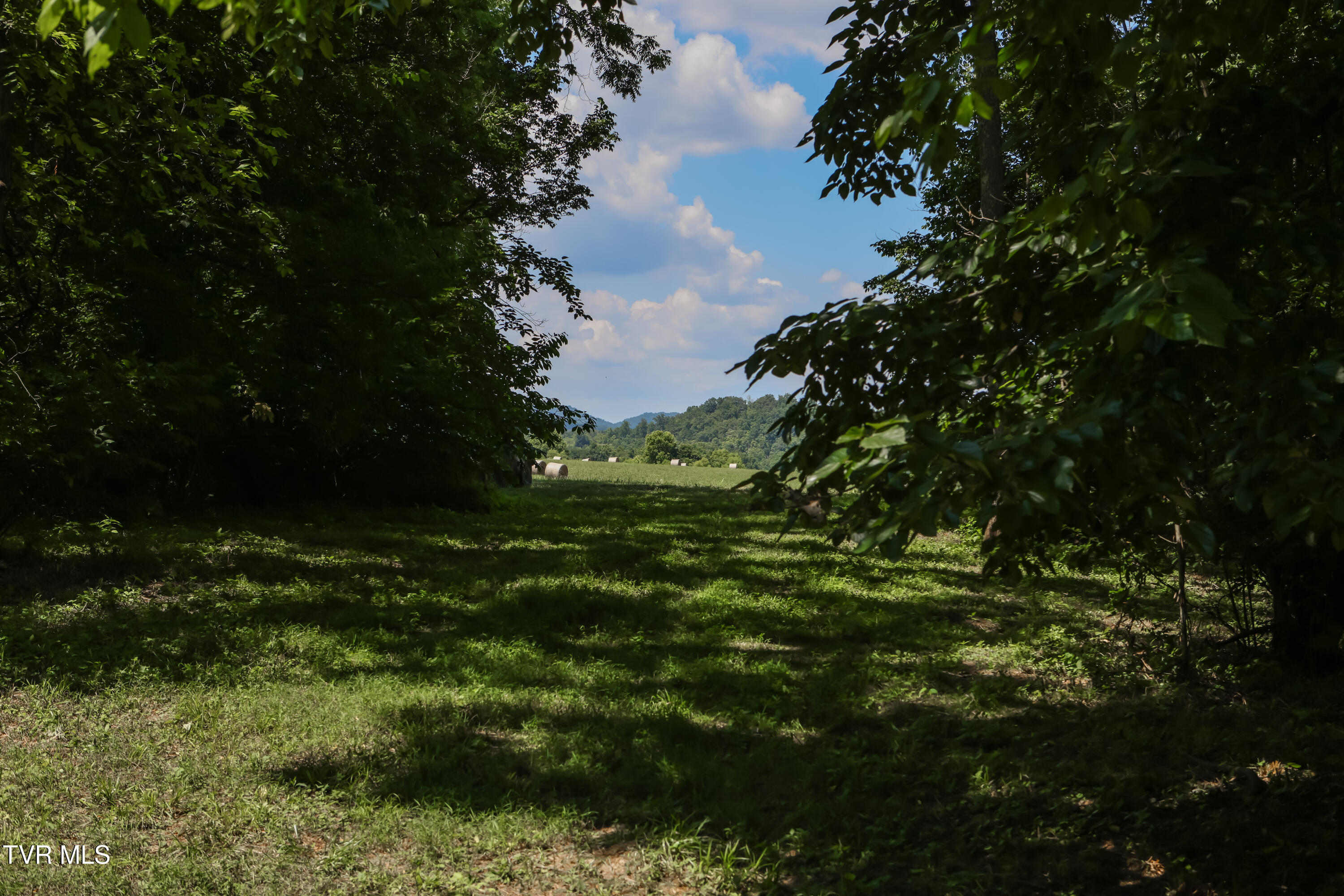 501 Williams Road Rogersville, TN 37857 - Photo 24 of 24 river 24