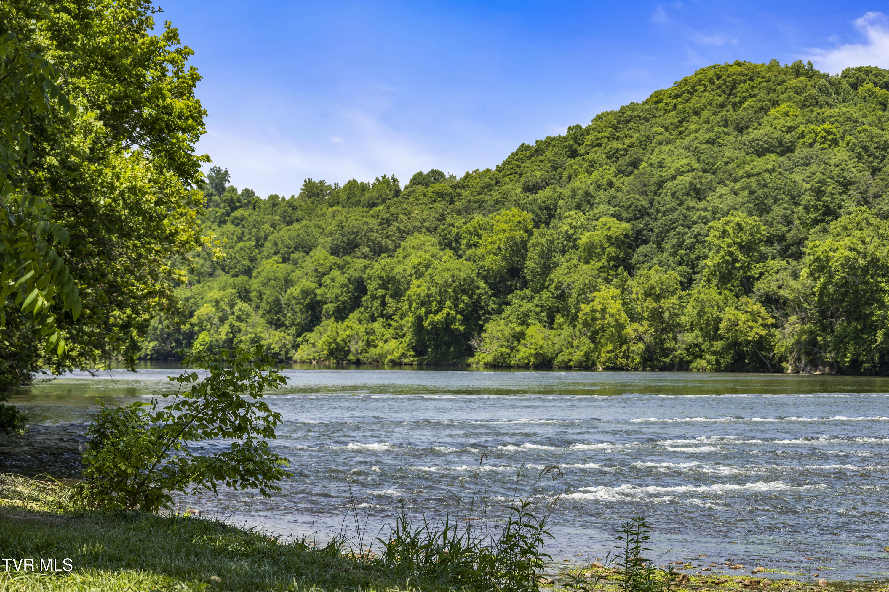 501 Williams Road Rogersville, TN 37857 - Photo 4 of 24 river 3