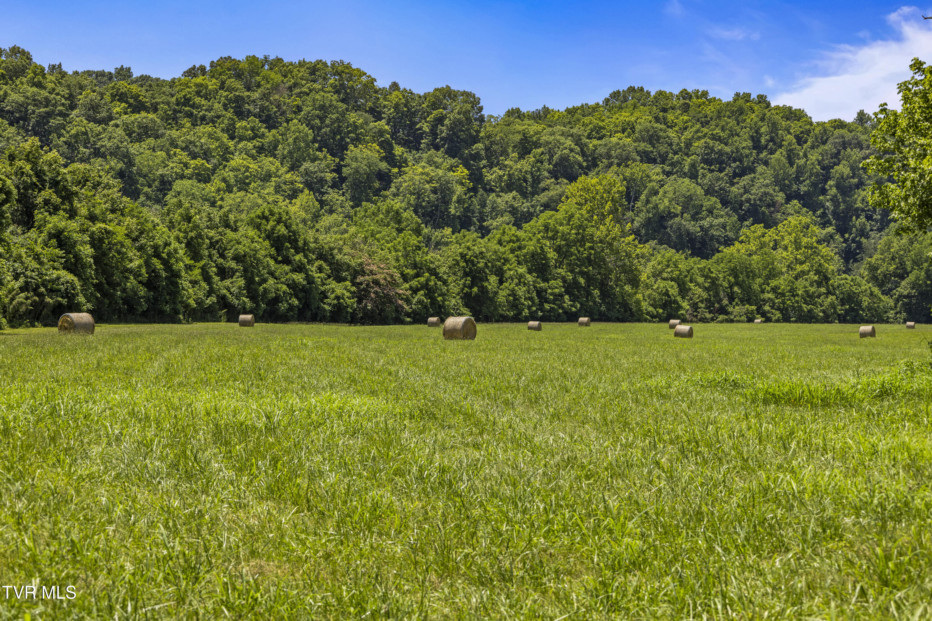 501 Williams Road Rogersville, TN 37857 - Photo 6 of 24 river 26