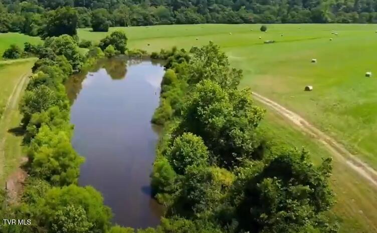 501 Williams Road Rogersville, TN 37857 - Photo 8 of 24 williams rd pond 2
