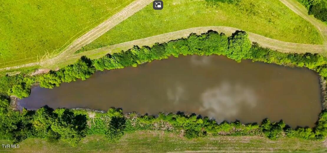 501 Williams Road Rogersville, TN 37857 - Photo 9 of 24 williams rd pond