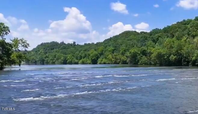 501 Williams Road Rogersville, TN 37857 - Photo 10 of 24 williams rd shoals