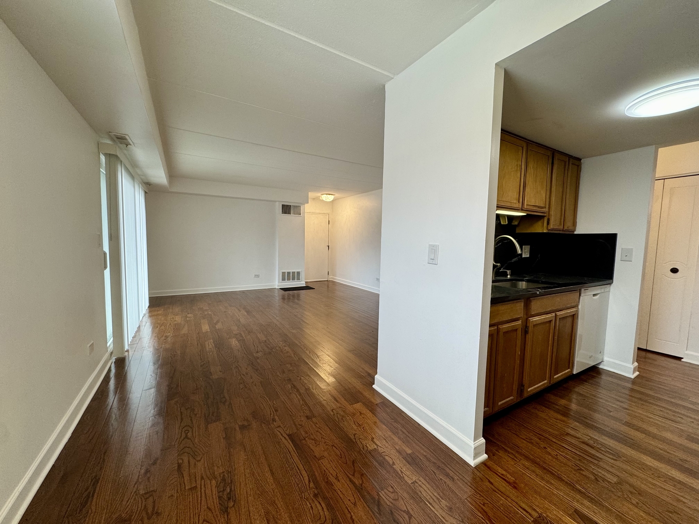 808 North River Road, Unit 1B Mount Prospect, IL 60056 - Photo 5 of 16 Gallery Image 5