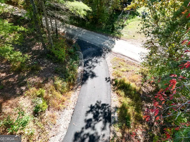 a view of a tree with a yard