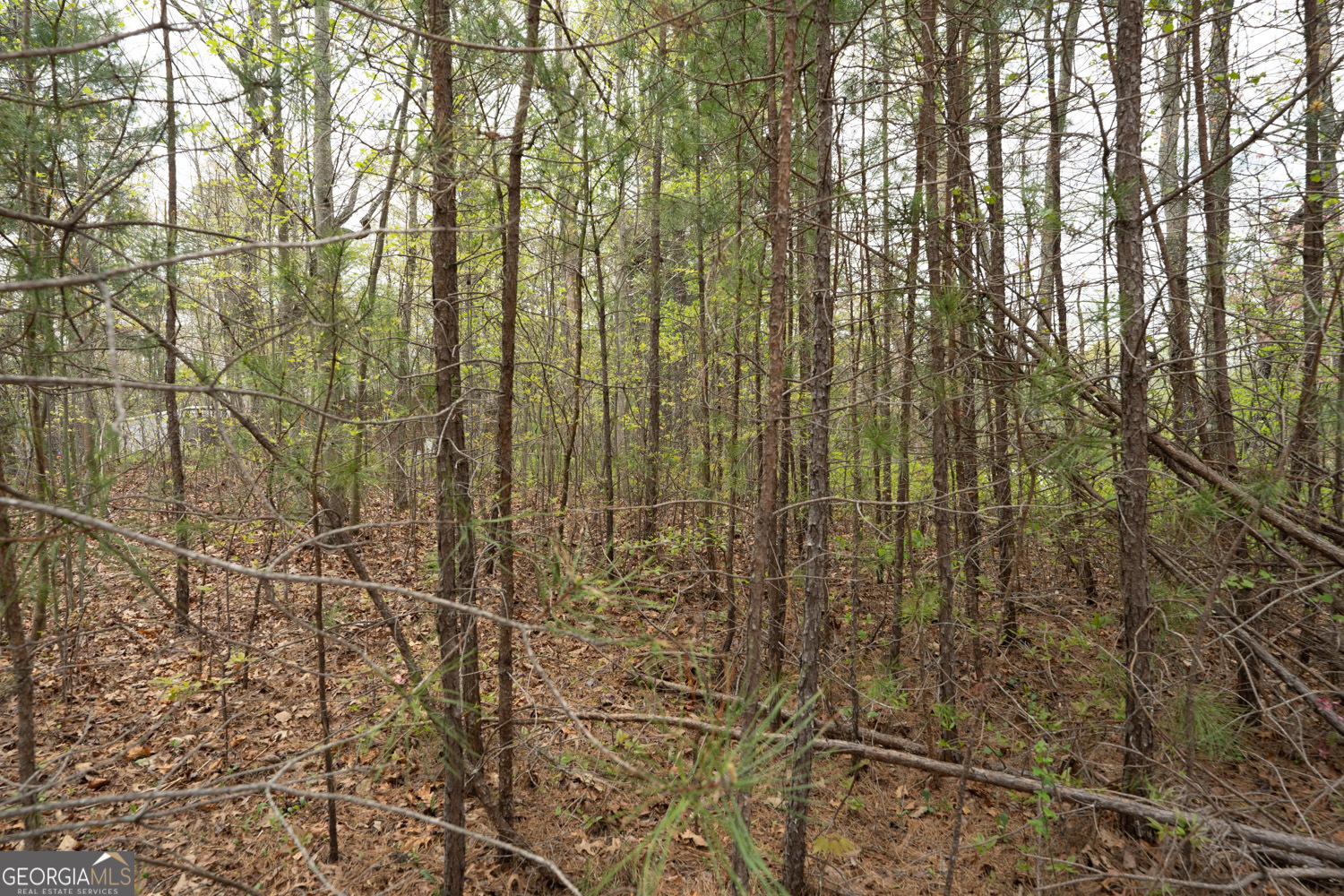 136 Key Lane Lakemont, GA 30552 - Photo 32 of 33 a bathroom with a shower