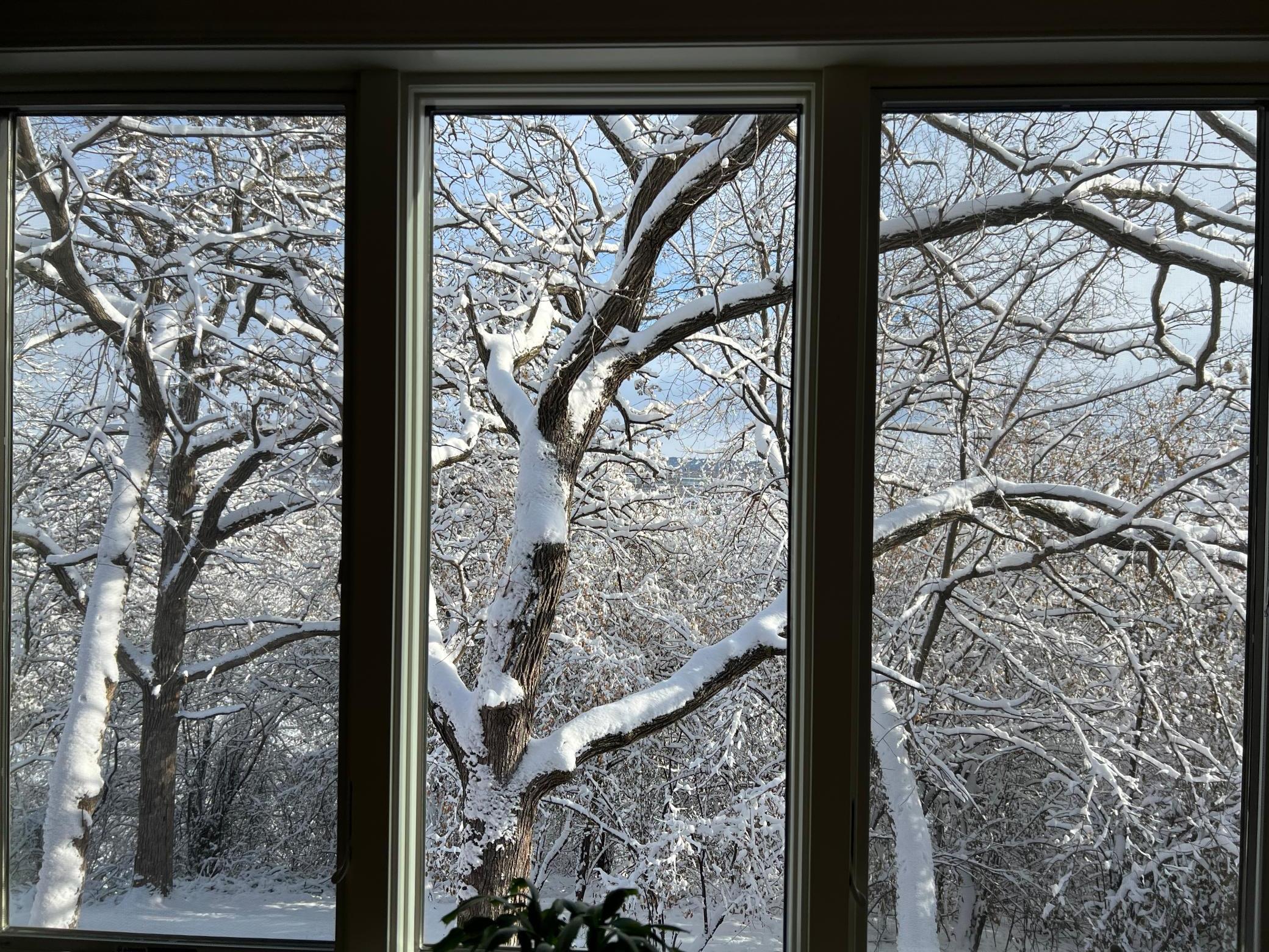 700 Panorama Circle Northwest Rochester, MN 55901 - Photo 68 of 75