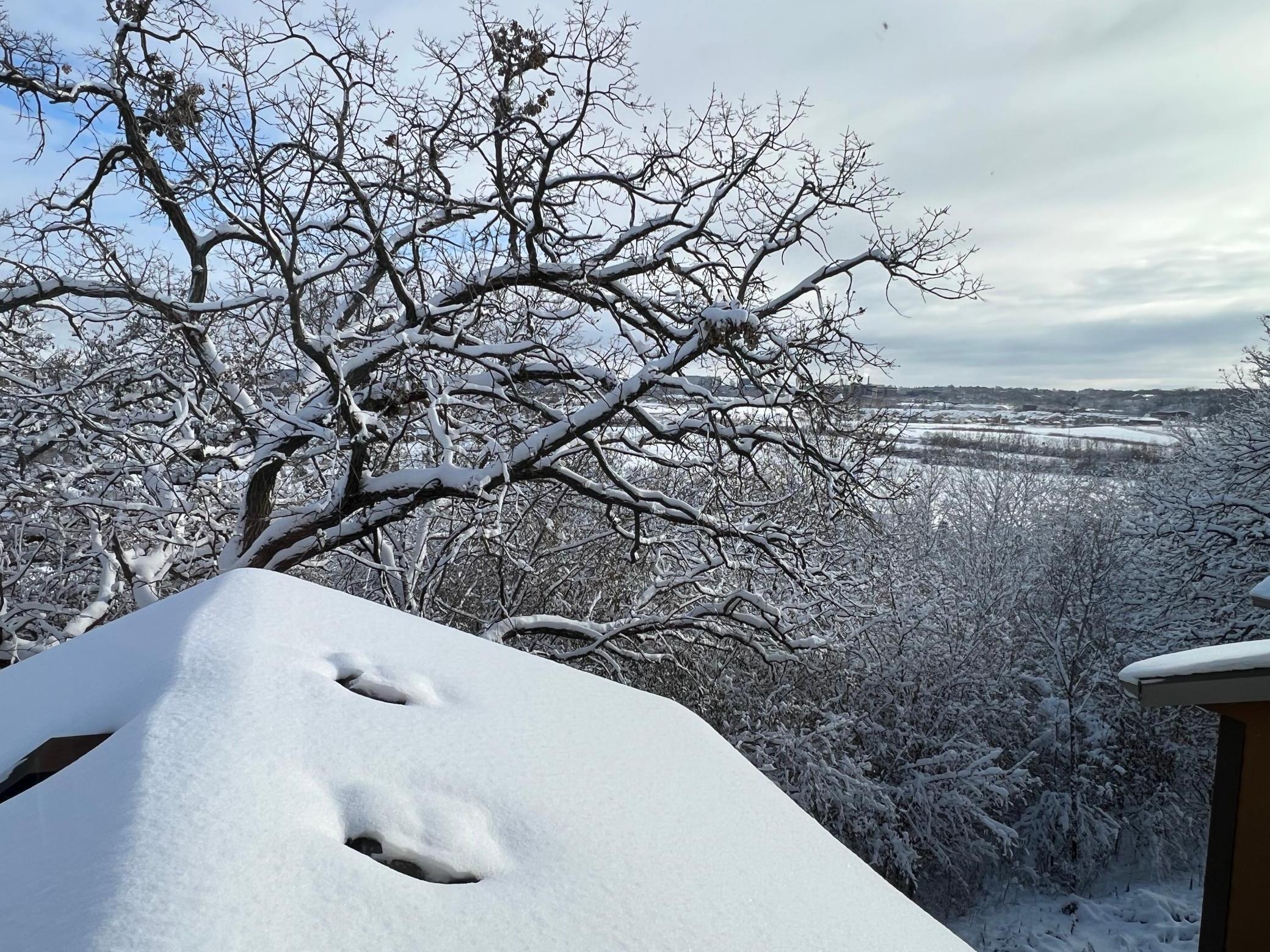 700 Panorama Circle Northwest Rochester, MN 55901 - Photo 69 of 75