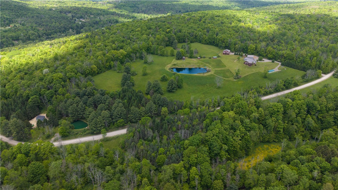 121 Lang Road Spencer, NY 14883 - Photo 16 of 49