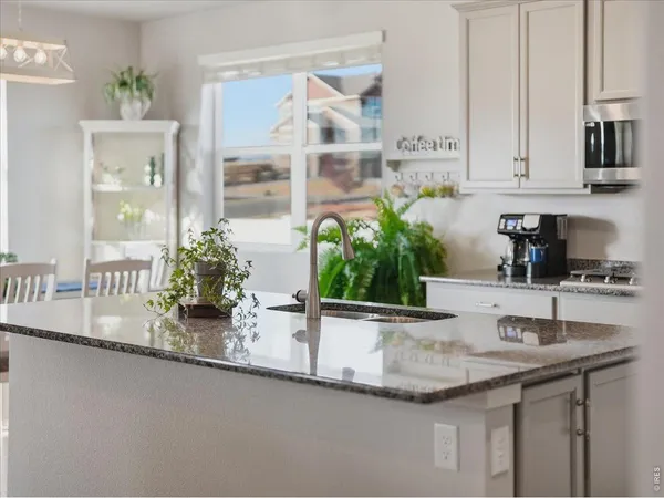 $735,000 | 1229 Argali Drive, Severance, CO 80550