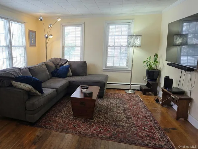 a living room with furniture a rug and a window