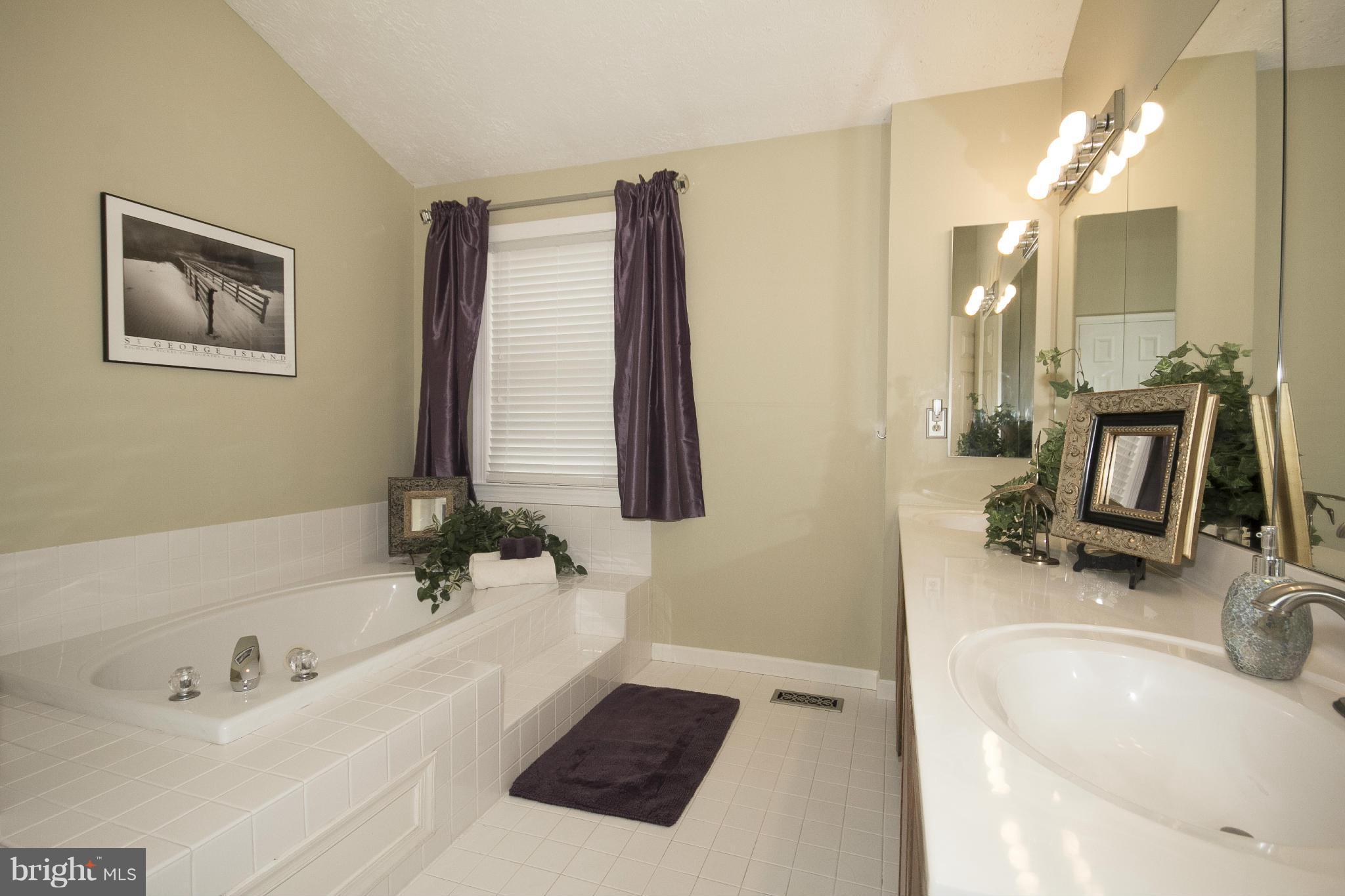 418 Rambler Road Bel Air, MD 21015 - Photo 20 of 29 Master Bath with Jetted Tub