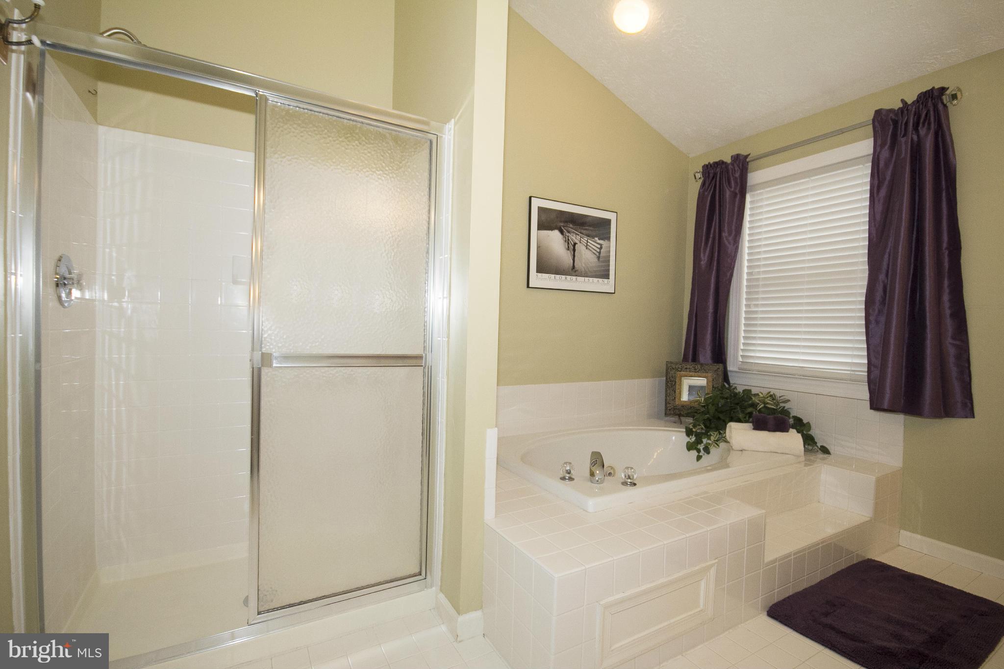 418 Rambler Road Bel Air, MD 21015 - Photo 21 of 29 Master Bath with separate shower