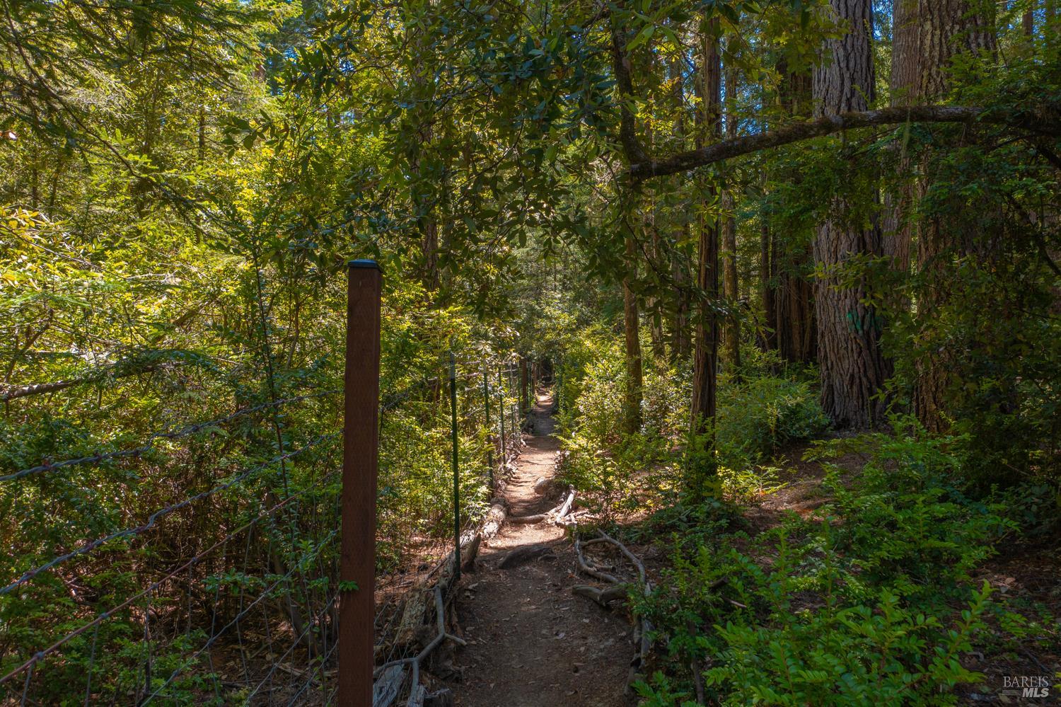 28001 Tenmile Road Gualala, CA 95445 - Photo 20 of 32 a backyard of a house with lots of green space