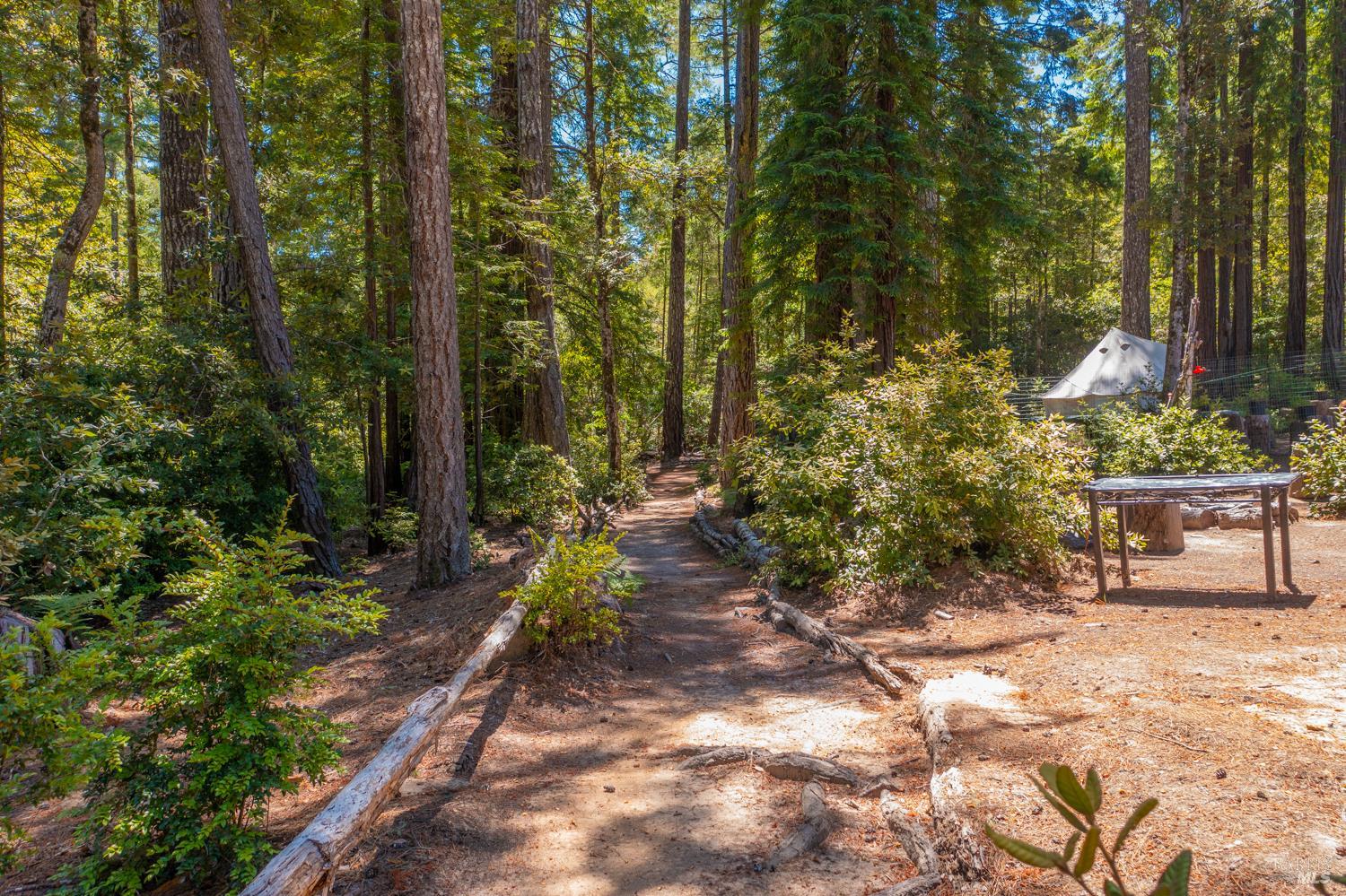 28001 Tenmile Road Gualala, CA 95445 - Photo 21 of 32 a view of a pathway with a bench