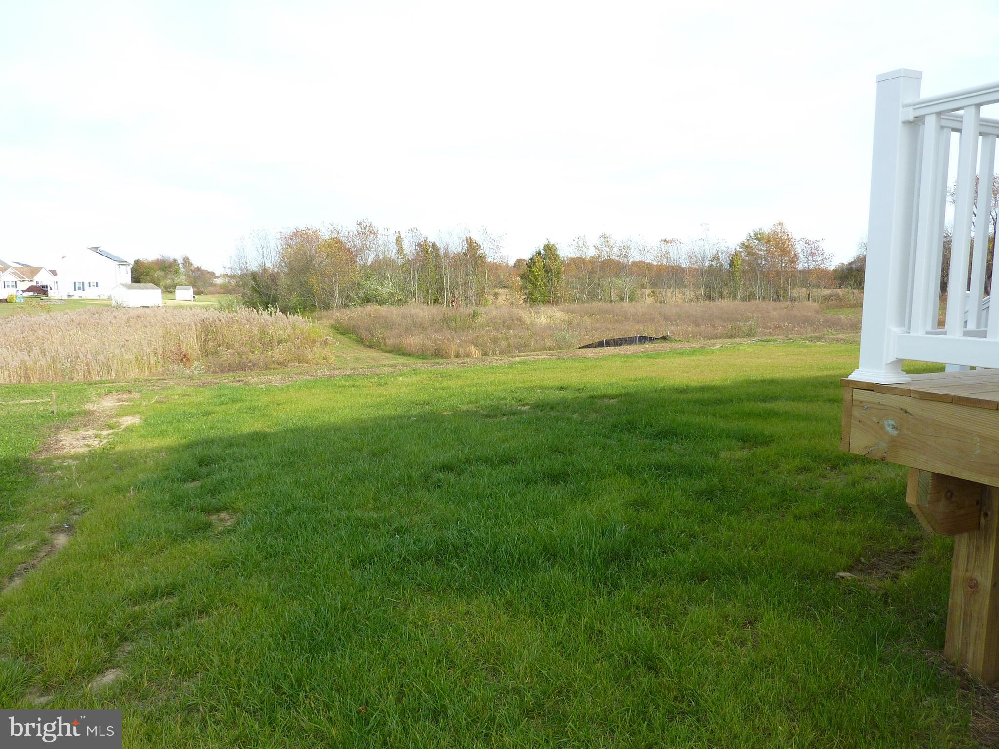 272 Doylestown Road Smyrna, DE 19977 - Photo 34 of 34 a view of a field with an outdoor space