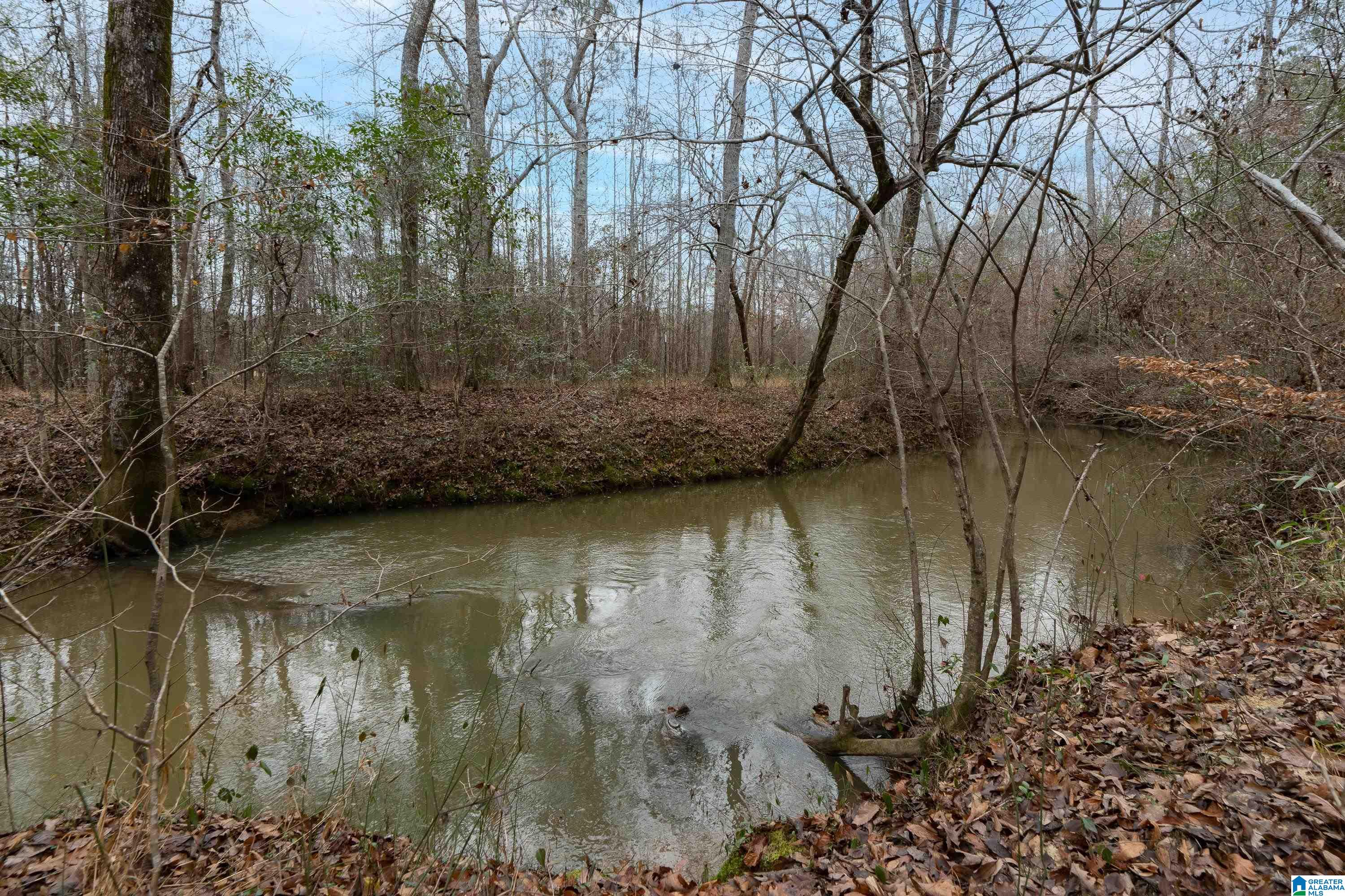 384 Moss Rock Trail Sterrett, AL 35147 - Photo 44 of 47