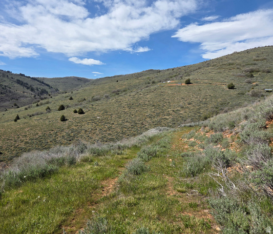 3325 North Oak Cyn Road, Unit 490 Huntsville, UT 84317 - Photo 7 of 25 Expansive natural landscape featuring rolling hills and varied vegetation