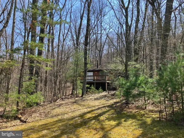 a living room with hard wood floors and a window