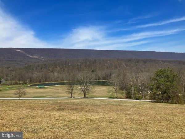 a view of a yard with an outdoor space