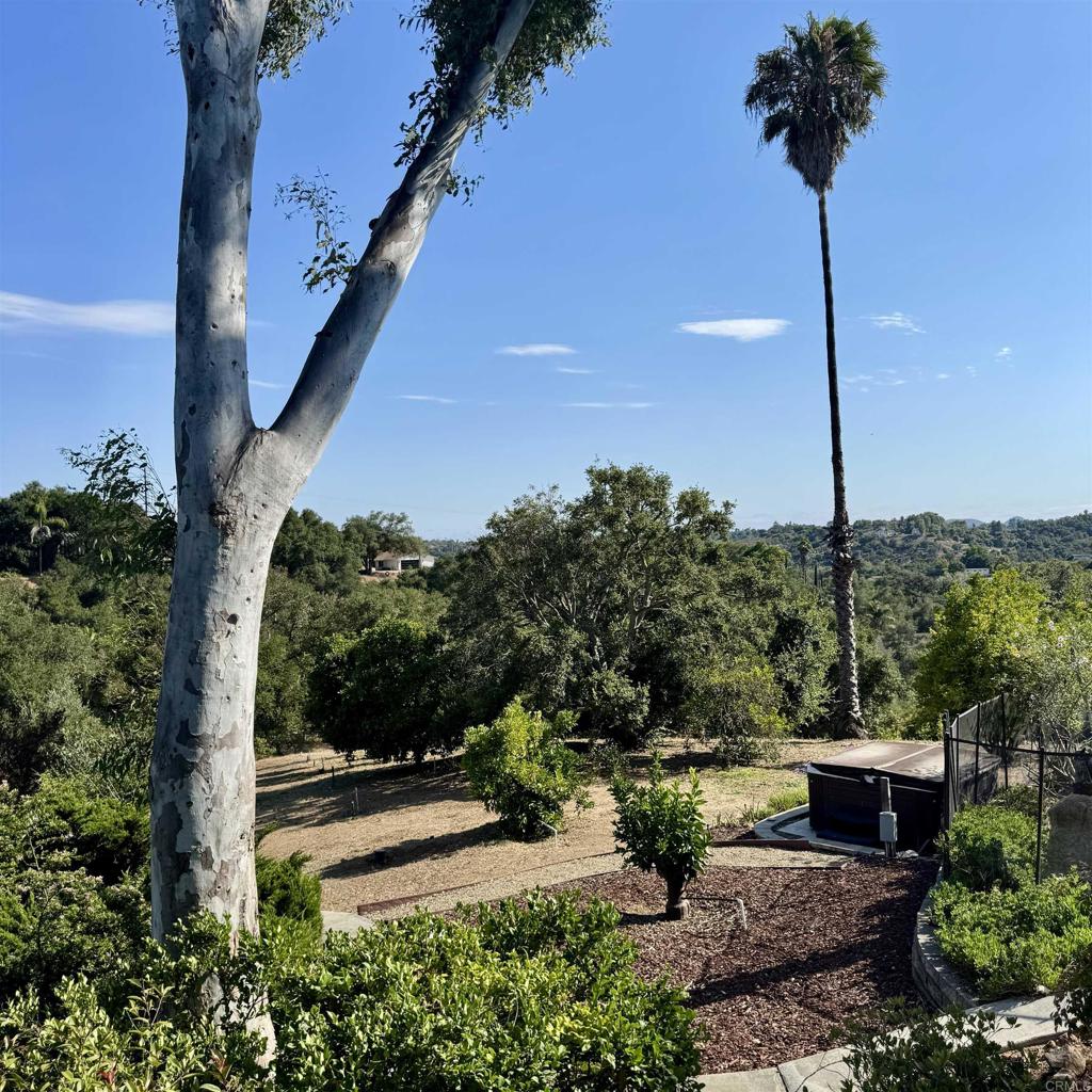 2848 Los Alisos Drive Fallbrook, CA 92028 - Photo 32 of 74 a view of a garden with a tree