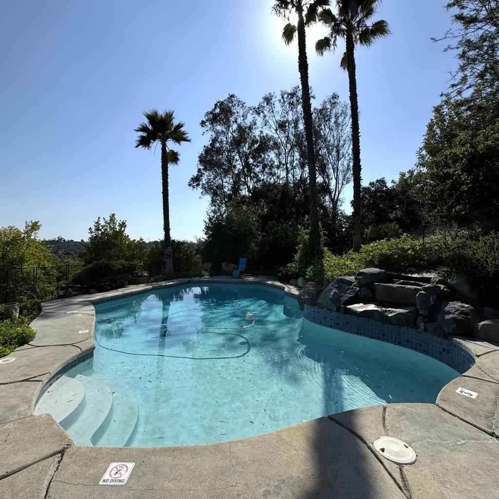 2848 Los Alisos Drive Fallbrook, CA 92028 - Photo 34 of 74 Pool