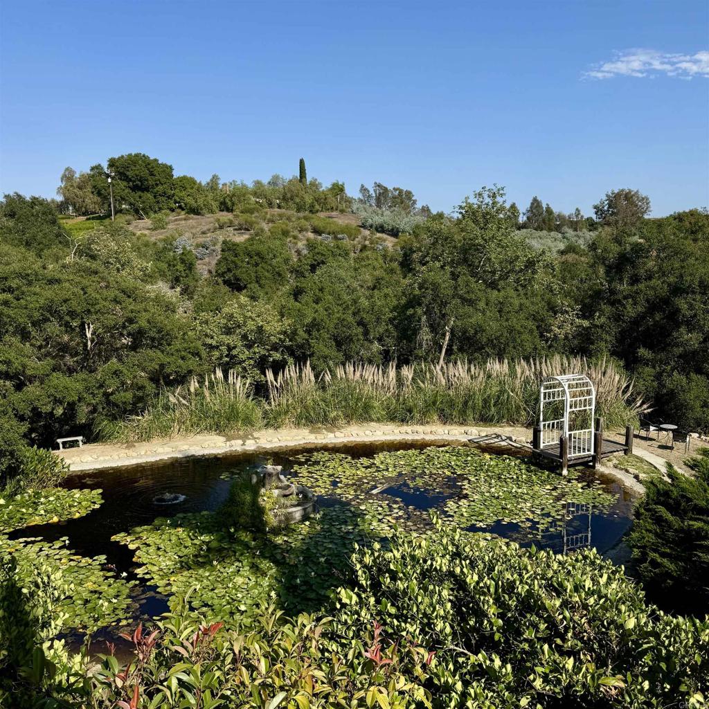 2848 Los Alisos Drive Fallbrook, CA 92028 - Photo 67 of 74 a view of a large yard with large trees