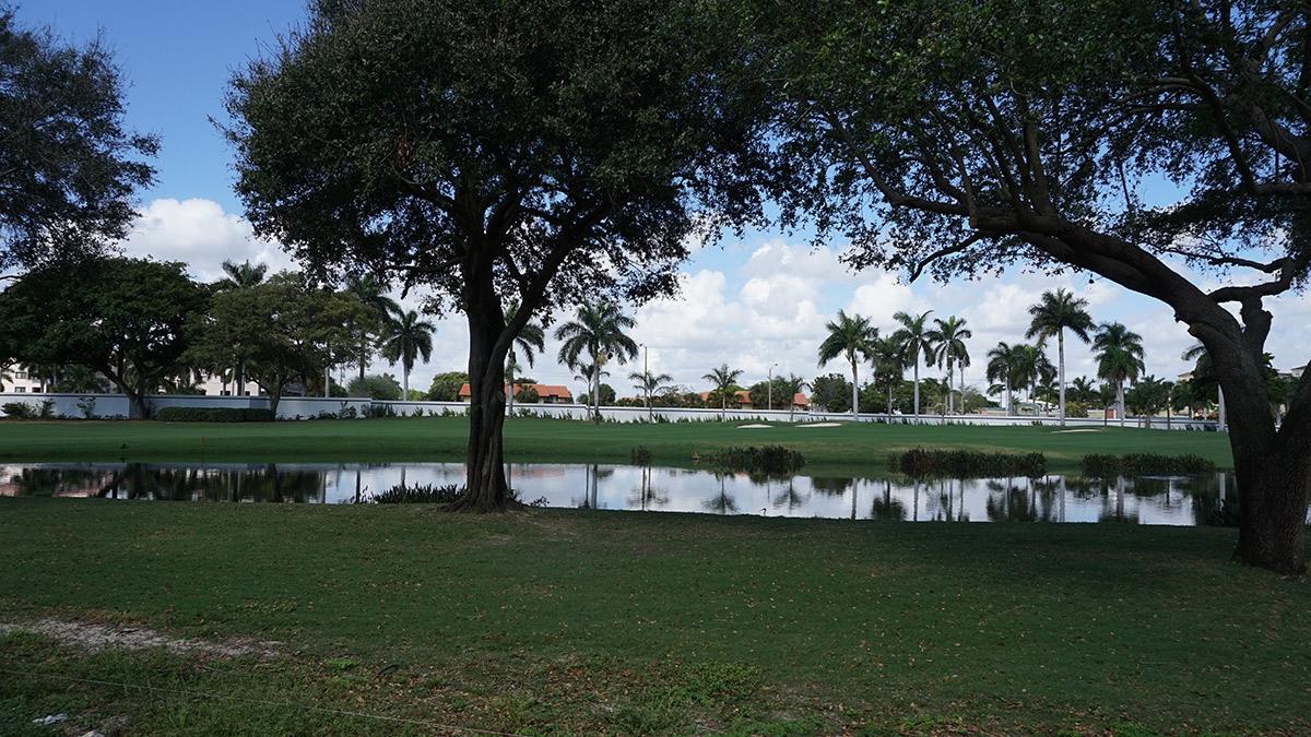 1301 Thatch Palm Drive Boca Raton, FL 33432 - Photo 7 of 10 View