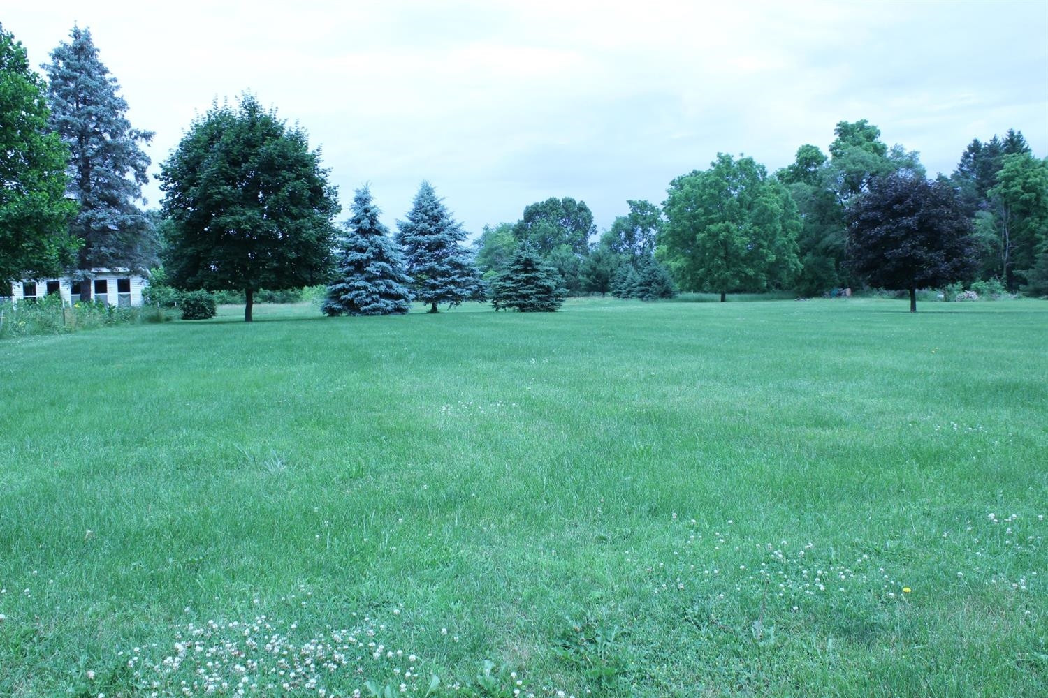 0 Sibley Road Chelsea, MI 48118 - Photo 2 of 2 Photo 2