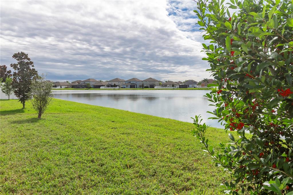 11874 Sunburst Marble Road Riverview, FL 33579 - Photo 42 of 43