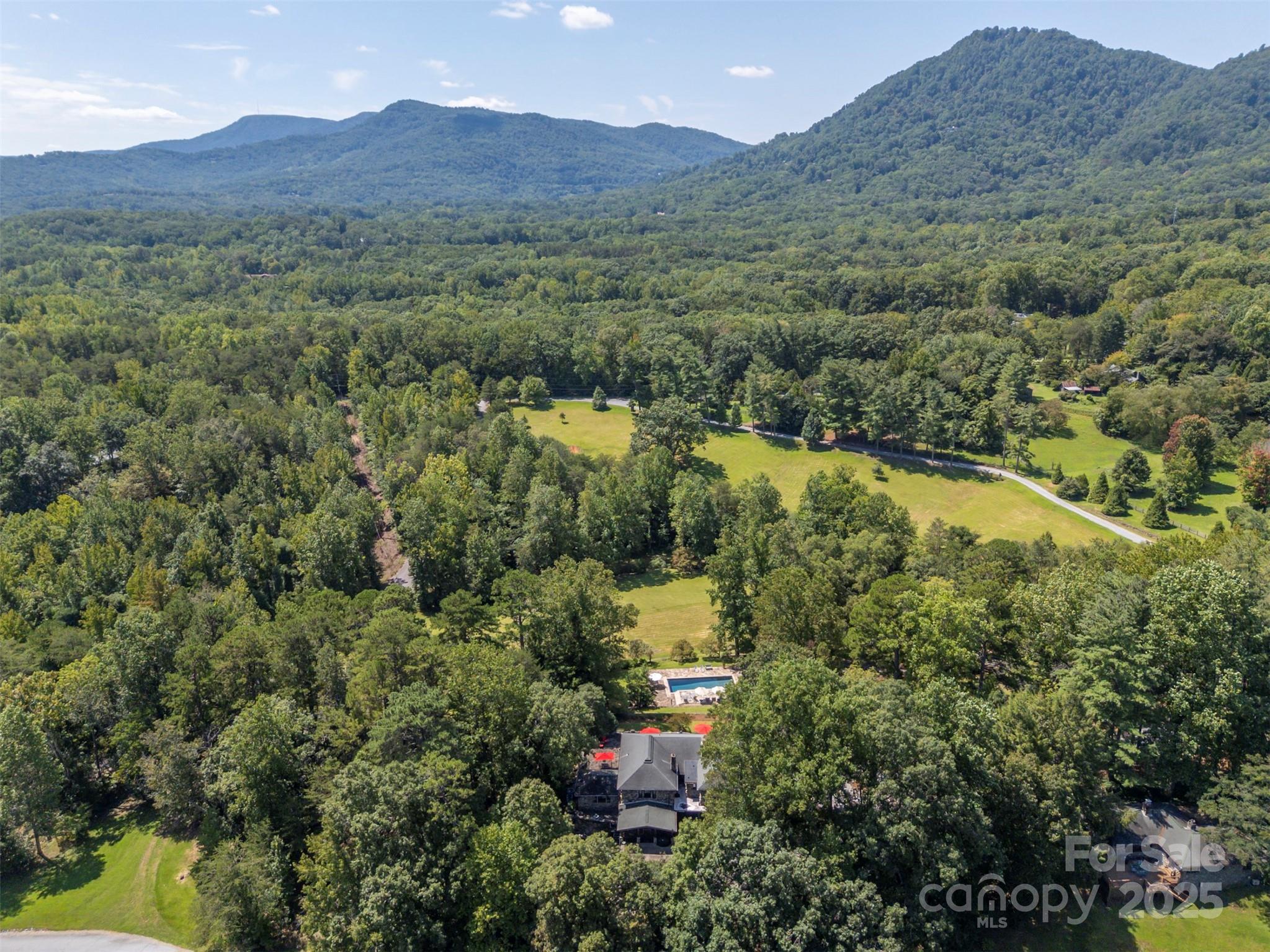 222 Stone Hedge Lane Tryon, NC 28782 - Photo 46 of 48 an aerial view of residential houses with outdoor space and trees