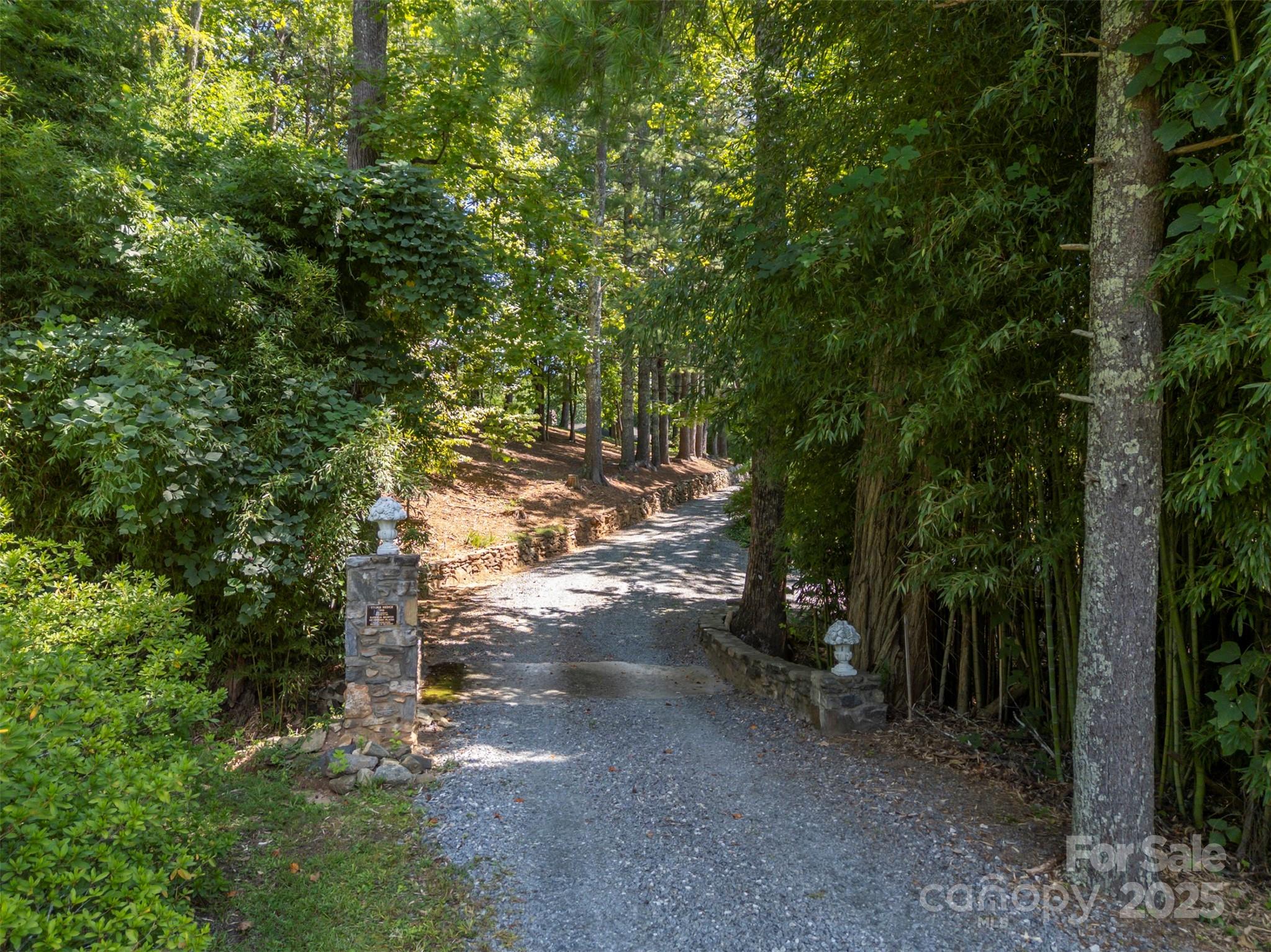 222 Stone Hedge Lane Tryon, NC 28782 - Photo 48 of 48 a view of a forest with trees