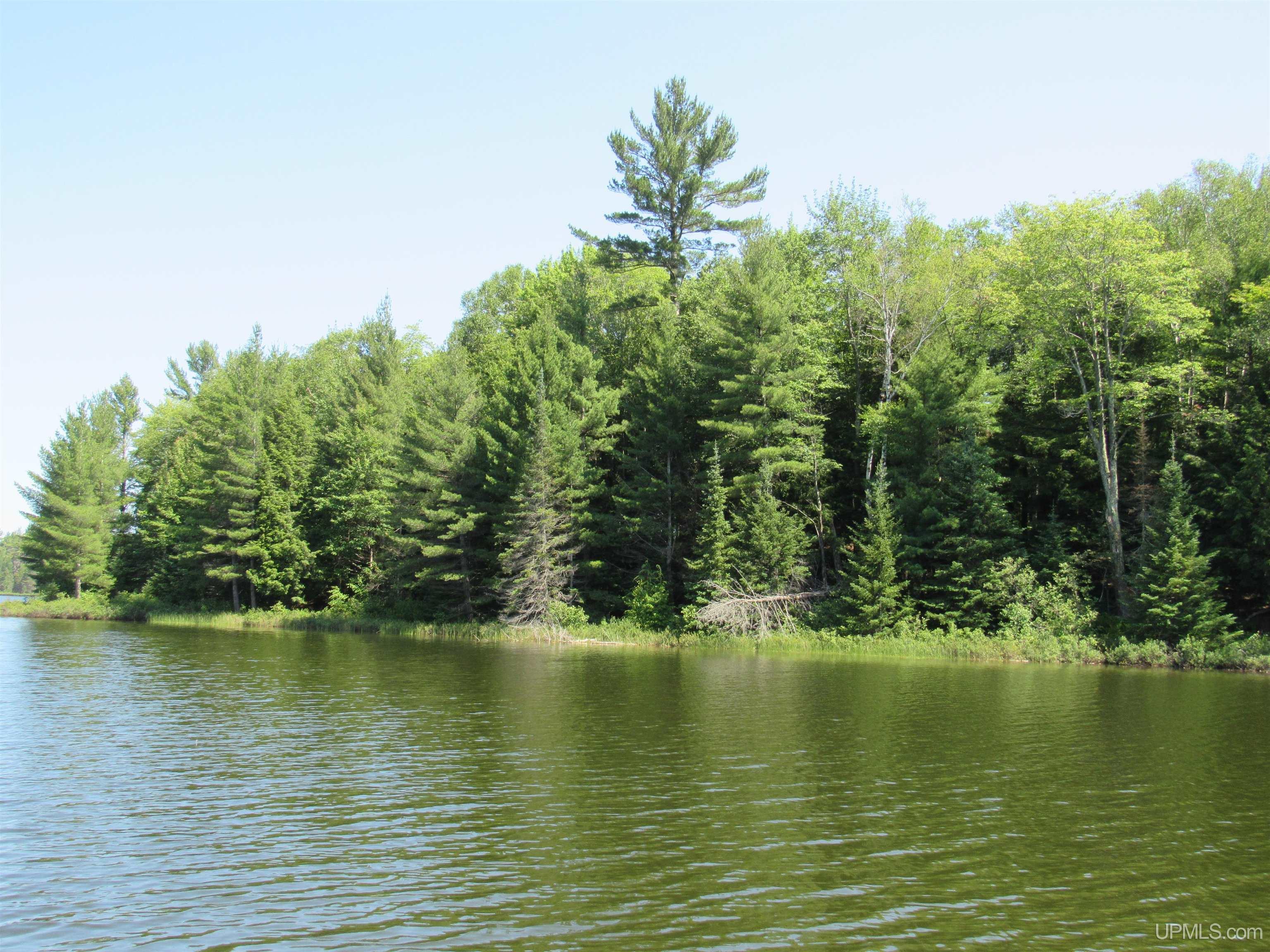3974 North Hayward (access To Angel Island) Road Munising, MI 49862 - Photo 14 of 92