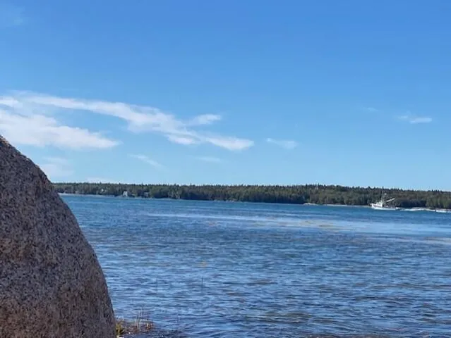 $225,000 | Lot #17 Wilderness Shore Road, Steuben, ME 04680